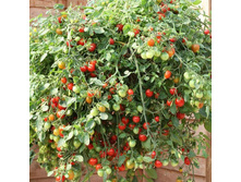 ��������� ����� 20 ���. �������� 2 ��..jpeg