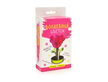 ��������� ��������� ������� ������