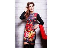 Plate-amina-pl-1037 1.jpg