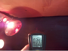 IMG 20160228 090921.jpg