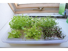 ������������ �������. ���. ����.3.jpg