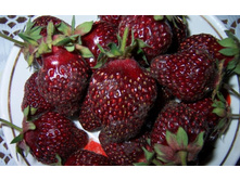 ��������� 42�.jpg