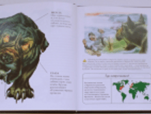 1455874486 793870ab0be2899fc68c7a09ce32962e.png