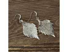 ������ "���� ������" �������, ���������