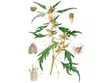 ��������� ������������, ����� � �����, 50� ��������� ����