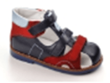 2489.�����-����� ORTO.png