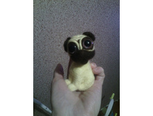 12644995 10208052307458003 9106754620925983745 n.jpg