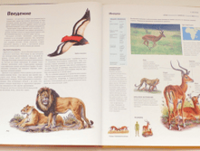 1455876637 536afa8bdf37a2a9a98fdd84d5623146.png