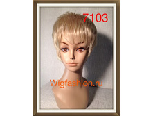 DG-7103 ����� �������� �������.JPG