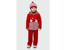 3050.������� ������� ����: 	 1610-00