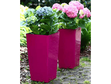 531 �������