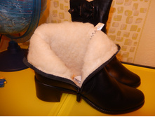 ����������� ����. ������ 37: 3100 ���