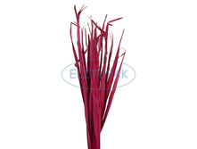 0620 ���� ��� ����� ������� (250�) 70�.jpeg