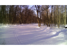 ���������� �������