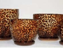 210B ������