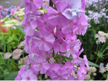 ���������  *