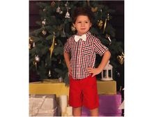 ������� �����. �15-��-3502-25(3,6) 523.00/559+%