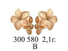 Pic 1 2011122515441.jpg