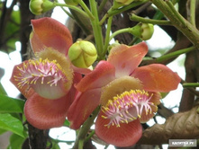 ������� ����� ������ 97+%. � ������� 1 ��.jpg