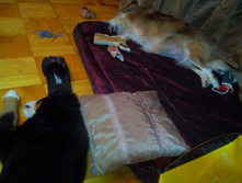 IMG 20160131 202849.jpg