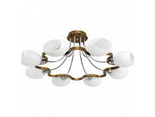 324010508 10000p.jpg