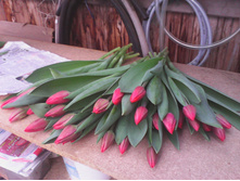 IMG 20160210 085405.jpg