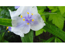 ������������ ������