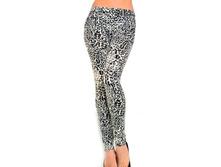 �������� �����