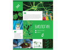 ������� ������������ 48�. ������ ������- �������� 16,70.jpg