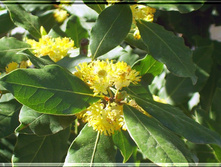 ������� ����� ����� 139+%. � ������� 1 ��.jpg