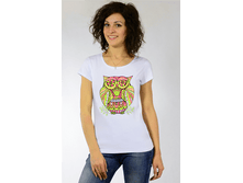 Big cat b659068296dc47d8a151355d5dd8cfab.png