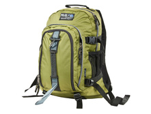 ������ �3955����.jpeg