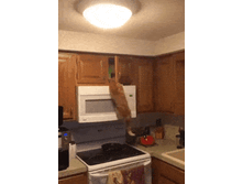 ����� �������� �� �����