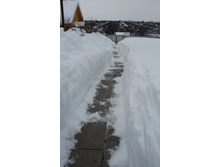 20160130 143017.jpg