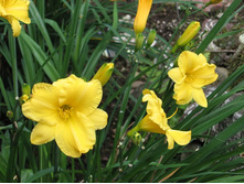 ������ �� ��� (��)