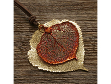 ����� "���� �����" ������ - ����, ���������. �������