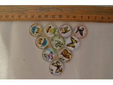 1 �� - 12 ���.