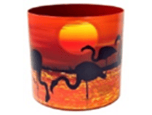 �������� �����