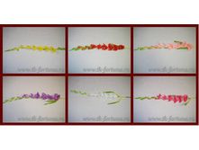 20-1981 ��������� 105 �� 49,8