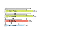 � ����.����