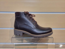 523 ���� �����-����������