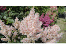 � ������ (2).JPG