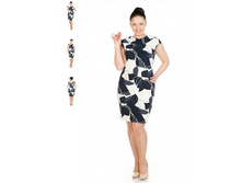 ������ 2585 NEW