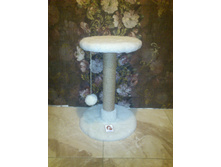 �� 360 ��� ���������� ���� 50��