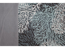 ������� ����� ̣�.jpg