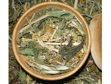 ��� �� ���� "����������", 75 �� ������������ �������