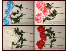 20-2005 ���� ������� 68 �� 44,5�