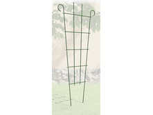 ������� ����