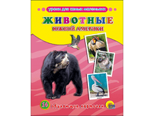 1450792464 3ccd6e8636a7651cc13a8a46ce61c3f9.png