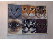 139200428-20160204 071859.jpg